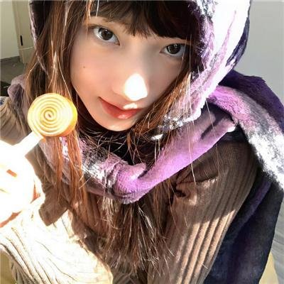 高速路上一只猫
